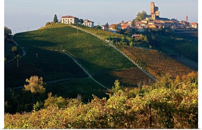 Italy, Piedmont, Colline del Barolo, Langhe, Serralunga d'Alba, Village and vineyards