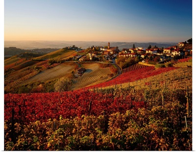Italy, Piedmont, Langhe, Tresio village and vineyards