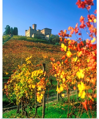Italy, Piedmont, Langhe, Vineyards and Grinzane Cavour castle