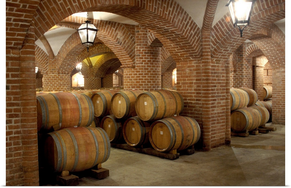 Italy, Piedmont, Langhe, wine cellar of Rocche dei Manzoni Estate