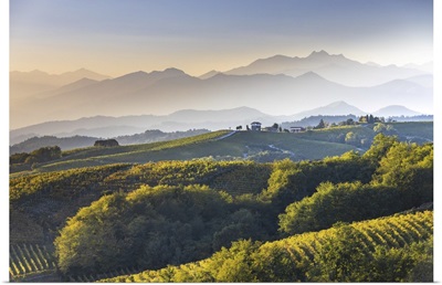 Italy, Piedmont, The Hills Of The Nebbiolo Vineyards In Gattinara And The Biella Alps