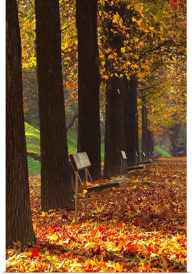 Italy, Piedmont, Turin, Fallen Autumn leaves alon Po river
