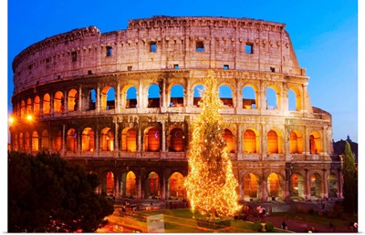 Italy, Rome, Colosseum, Christmas Tree