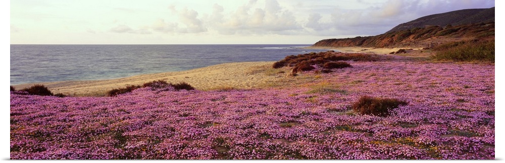 Italy, Sardinia, Costa Verde, beach near Marina di Arbus village