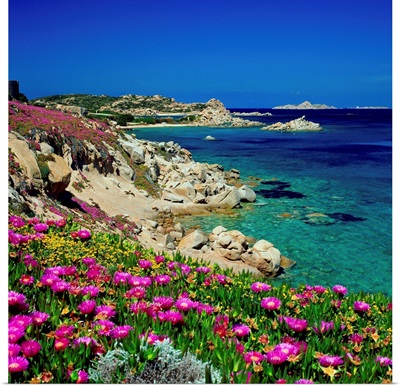 Italy, Sardinia, Maddalena Island, coast