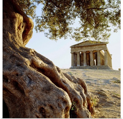 Italy, Sicily, Agrigento, Valley of the Temples, Temple of Concordia