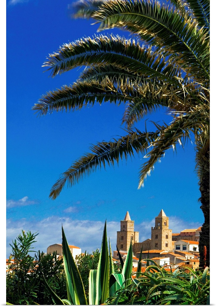 Italy, Italia, Sicily, Sicilia, Cefal., palm tree and cathedral in background