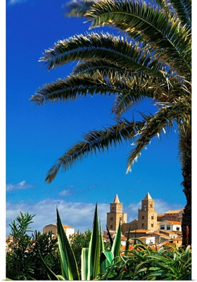 Italy, Sicily, Cefalu, palm tree and cathedral in background