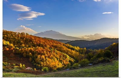 Italy, Sicily, Monti Nebrodi, Nebrodi Mountains, Malabotta Forest, Etna In Background