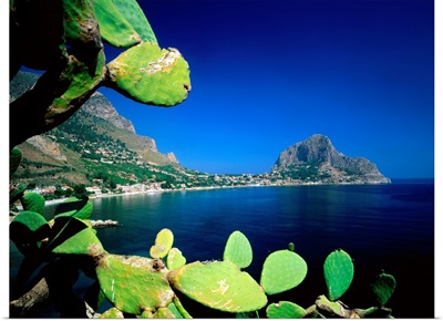 Italy, Sicily, Palermo, Zafferano Cape