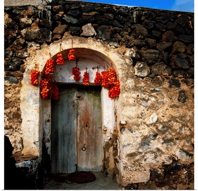 Italy, Sicily, Pantelleria Island, typical door with hanging drying tomatoes