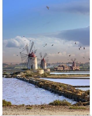 Italy, Sicily, Trapani District, Marsala, The Historic Salt Pans With Its Watermills