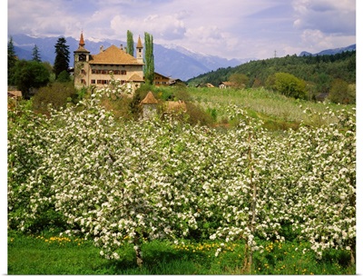 Italy, South Tyrol, Tesimo plateau, Prissiano, Fahlburg Castle