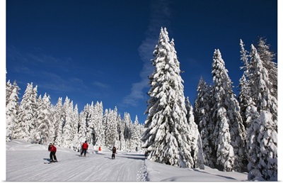 Italy, Trentino-Alto Adige, Adamello Brenta Natural Park, Pradalago ski area