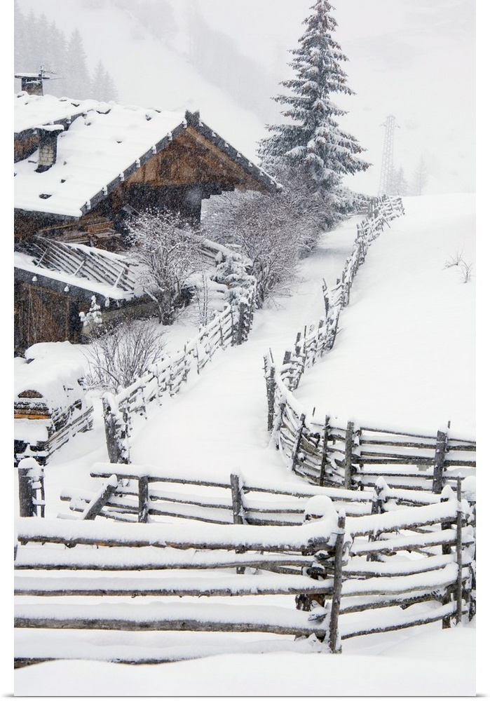 Italy, Trentino-Alto Adige, Alps, Typical alpine farm (called Maso) in winter