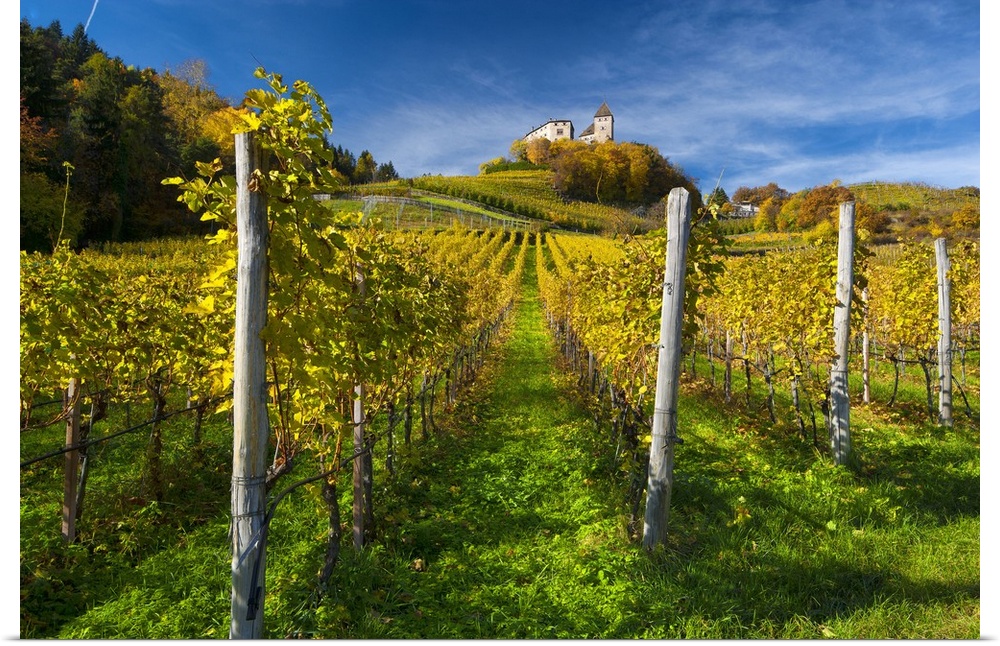 Italy, Trentino-Alto Adige, Alps, Dolomites, Bolzano district, South Tyrol, Prissiano, Castel Wehrburg and vineyards in au...
