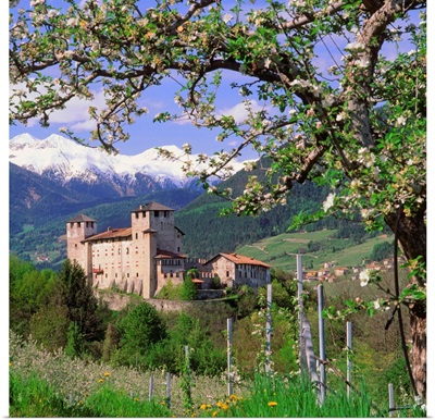 Italy, Trentino, Apple orchard and Castel Cles