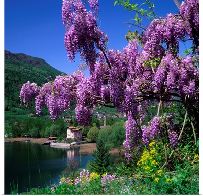 Italy, Trentino, Lago di Caldonazzo, San Cristoforo