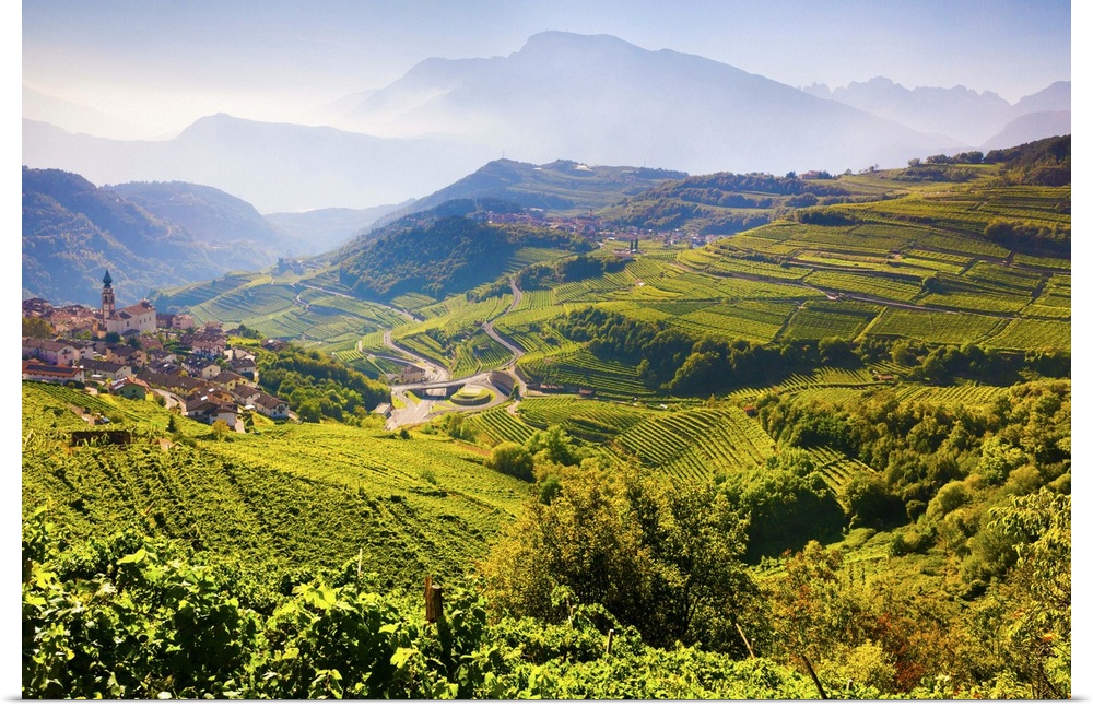 Italy, Trentino-Alto Adige, Alps, Trento district, Trentino, Val di Cembra, Giovo, village of Giovo and vineyards of Val d...