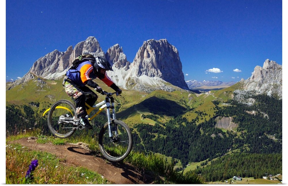 Italy, Trentino-Alto Adige, Alps, Dolomites, Trento district, Trentino, Val di Fassa, Canazei, Mountain bike at Belvedere,...
