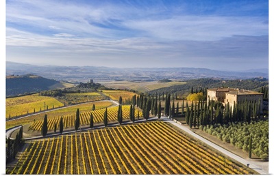 Italy, Tuscany, Brunello Wine Road, Montalcino, Podere Di Argiano, The Villa Bell'aria
