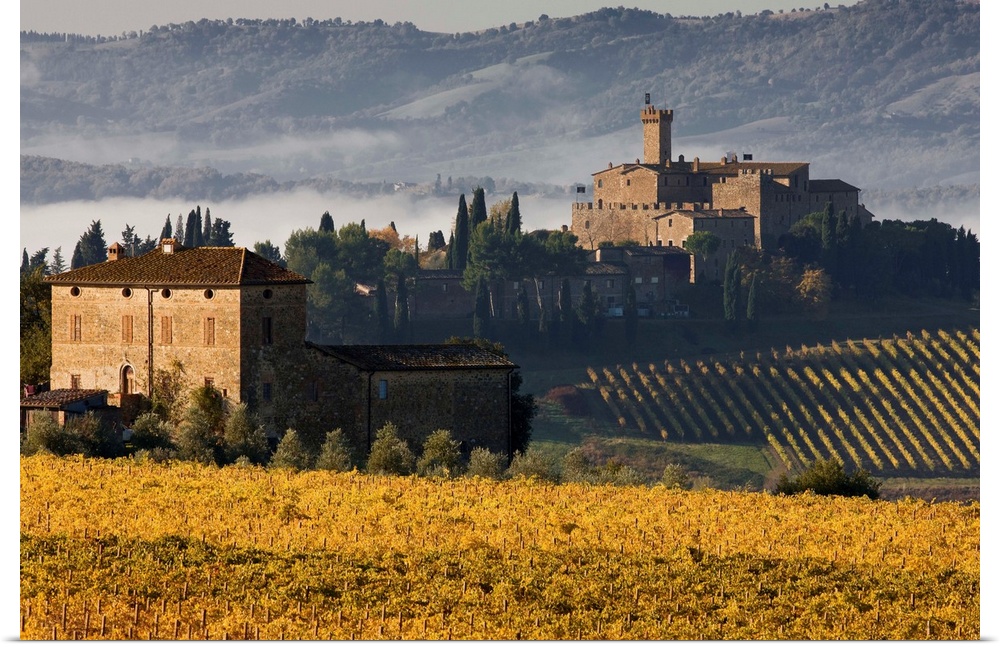 Italy, Tuscany, Mediterranean area, Brunello wine road, Siena district, Orcia Valley, Montalcino, Poggio alle Mura Castle ...