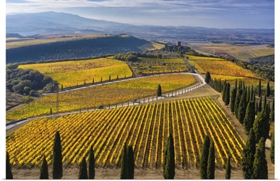 Italy, Tuscany, Brunello Wine Road, Vineyards Of The Podere Di Argiano And The Castle