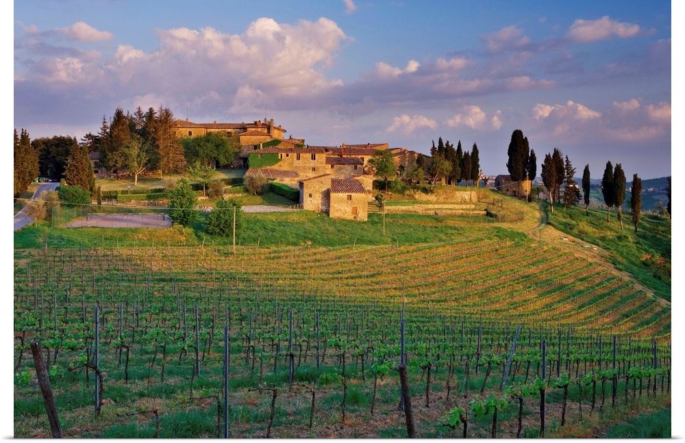 The medieval village of Montevecchi surrounded by vineyards, perched on a hill near Radda in Chianti, one the main village...