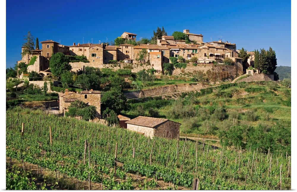 View of the medieval village of Montefioralle, perched on a hill surrounded by vineyards and olive trees near Greve in Chi...