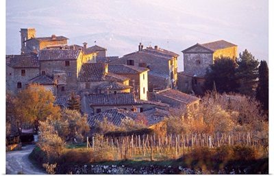 Italy, Tuscany, Chianti, Radda in Chianti, Volpaia locality