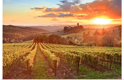 Italy, Tuscany, Chianti, Tavarnelle Val Di Pesa, Badia A Passignano, Sunset