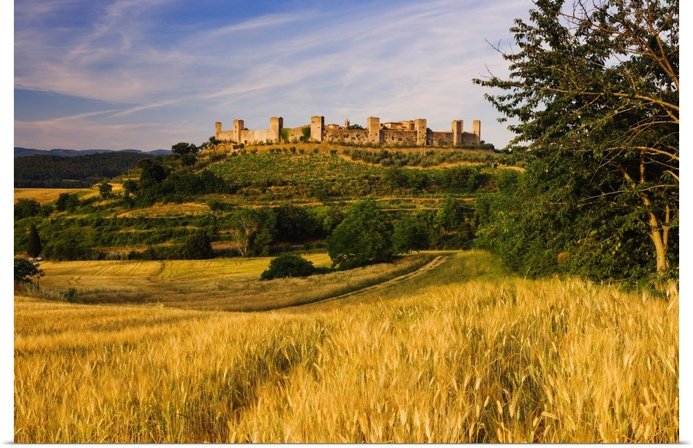 View of the walled medieval village of Monteriggioni, perched on a hill surrounded by hay fields and olive trees near Siena.
