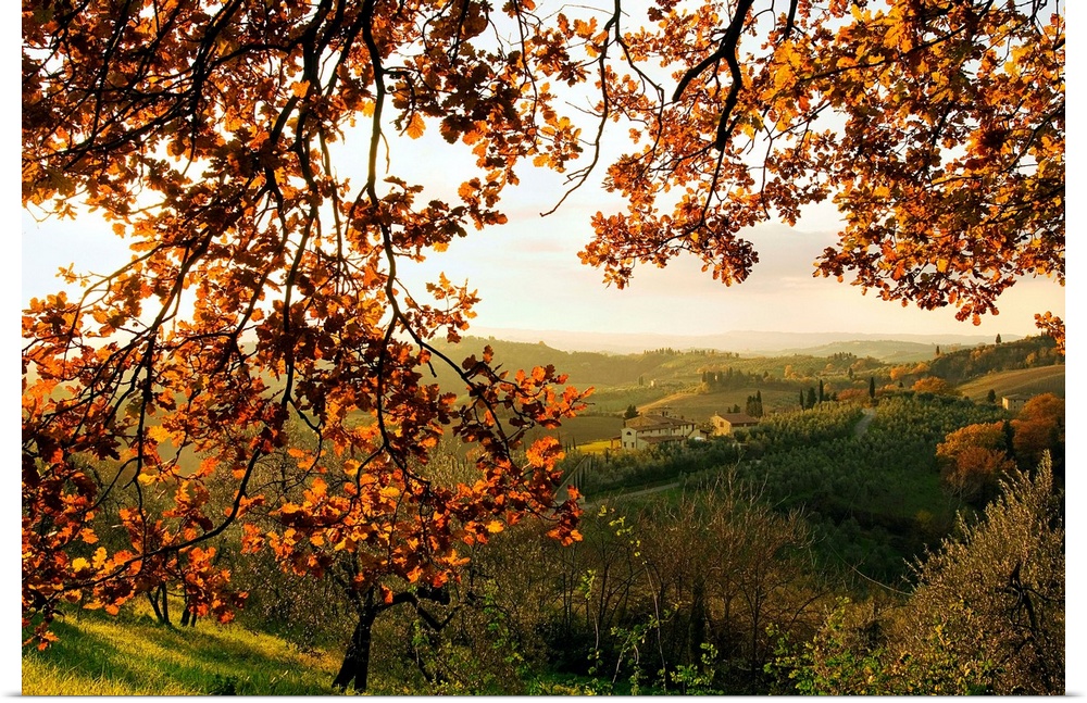 Italy, Italia, Tuscany, Toscana, Countryside near Certaldo town