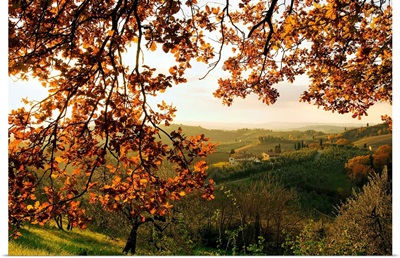 Italy, Tuscany, Countryside near Certaldo town