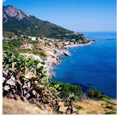 Italy, Tuscany, Elba island, Marciana, Pomonte, landscape near the village
