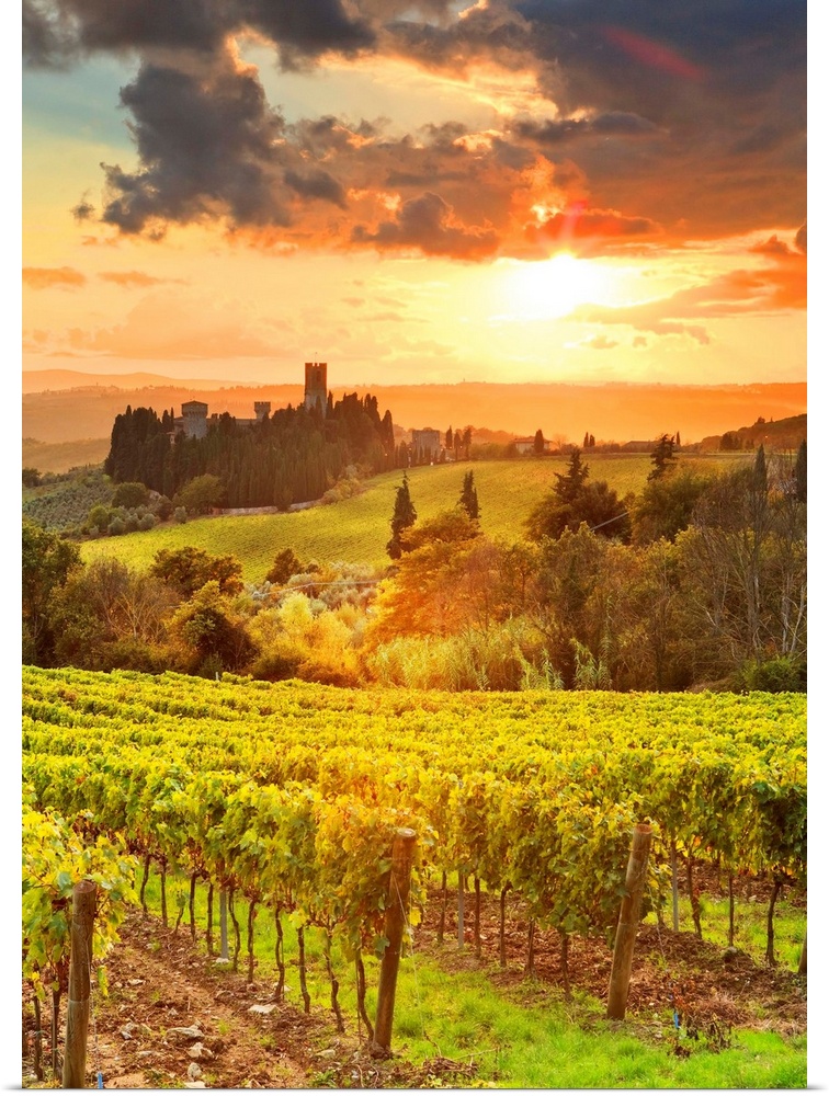 Italy, Tuscany, Firenze district, Chianti, Tavarnelle Val di Pesa, Badia a Passignano, sunset.
