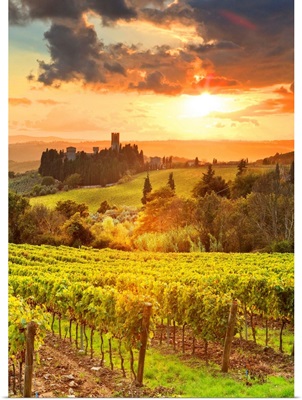 Italy, Tuscany, Firenze District, Tavarnelle Val Di Pesa, Badia A Passignano, Sunset