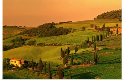 Italy, Tuscany, Landscape