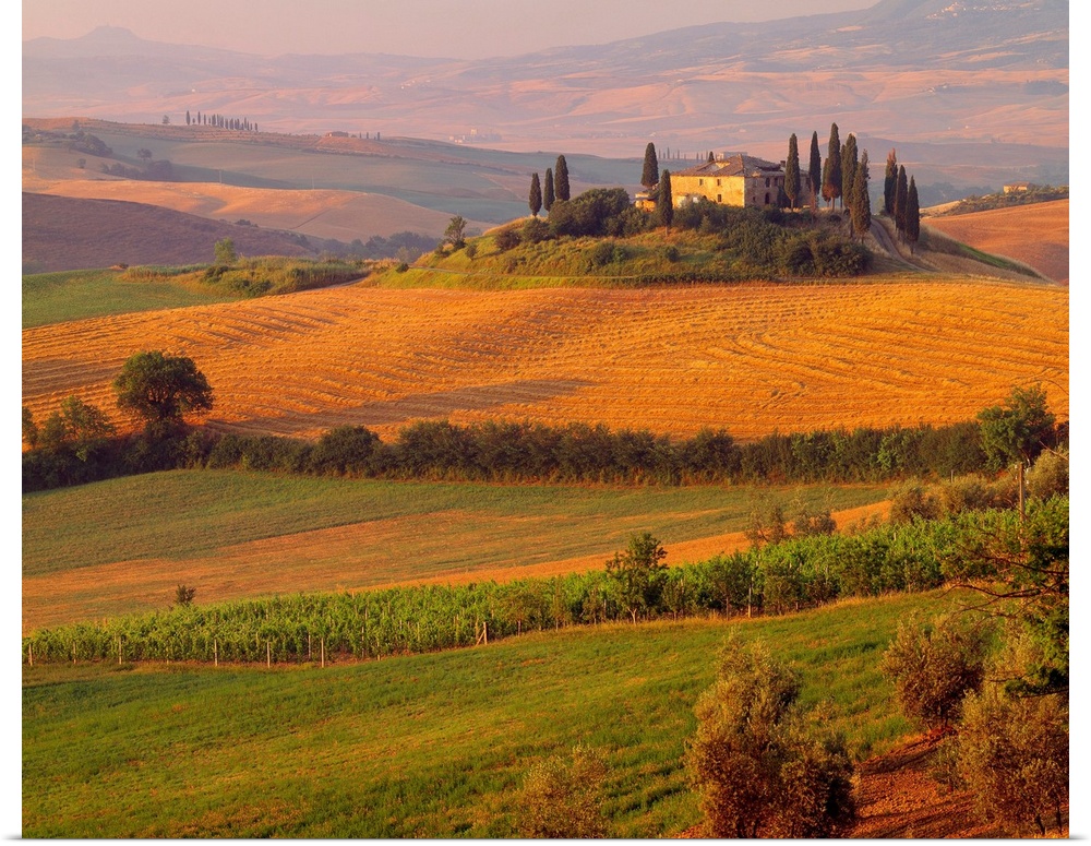 Italy, Tuscany, Landscape near San Quirico d'Orcia