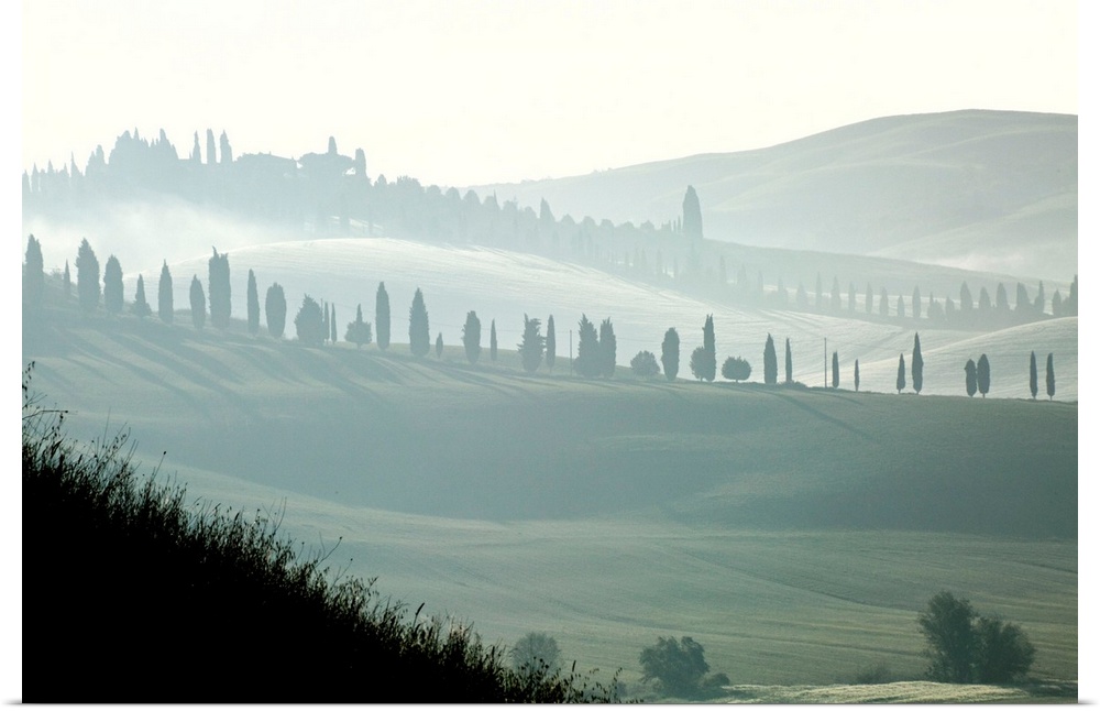 Italy, Tuscany, Landscape near Siena.