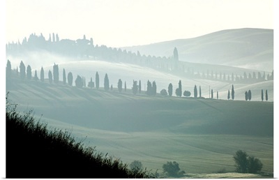 Italy, Tuscany, Landscape Near Siena