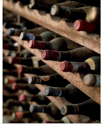 Italy, Tuscany, Lucca, Collection of wine in the Vanni cellar