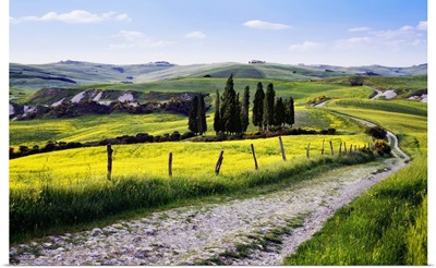 Italy, Tuscany, Mediterranean area, Siena district, Typical countryside