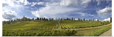 Italy, Tuscany, Montalcino, Poggio Alle Mura castle, Banfi vineyards