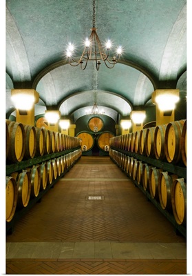 Italy, Tuscany, Orcia Valley, Montalcino, Brunello Wine casks in Caparzo farm