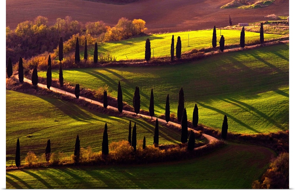 Italy, Tuscany, Orcia Valley, Rolling landscape