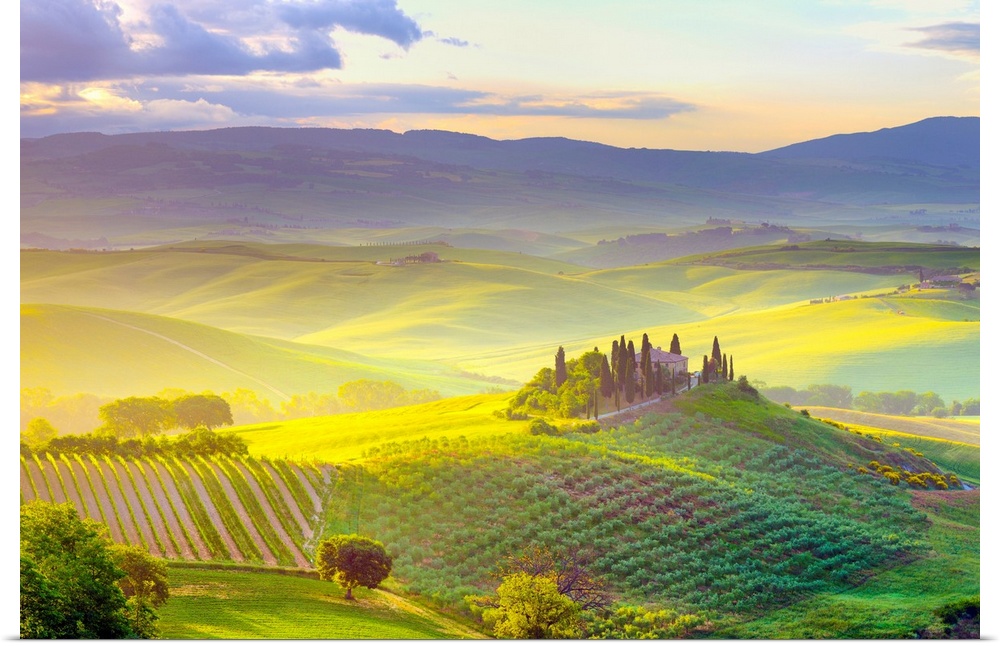 Italy, Tuscany, Siena district, Orcia Valley, Tuscan landscape near San Quirico d Orcia at sunrise.