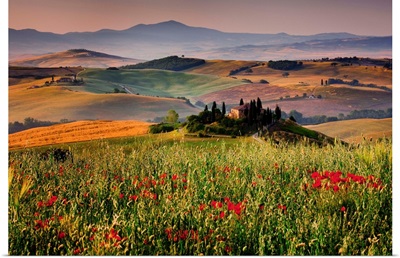 Italy, Tuscany, Orcia Valley, Typical country house near San Quirico d'Orcia