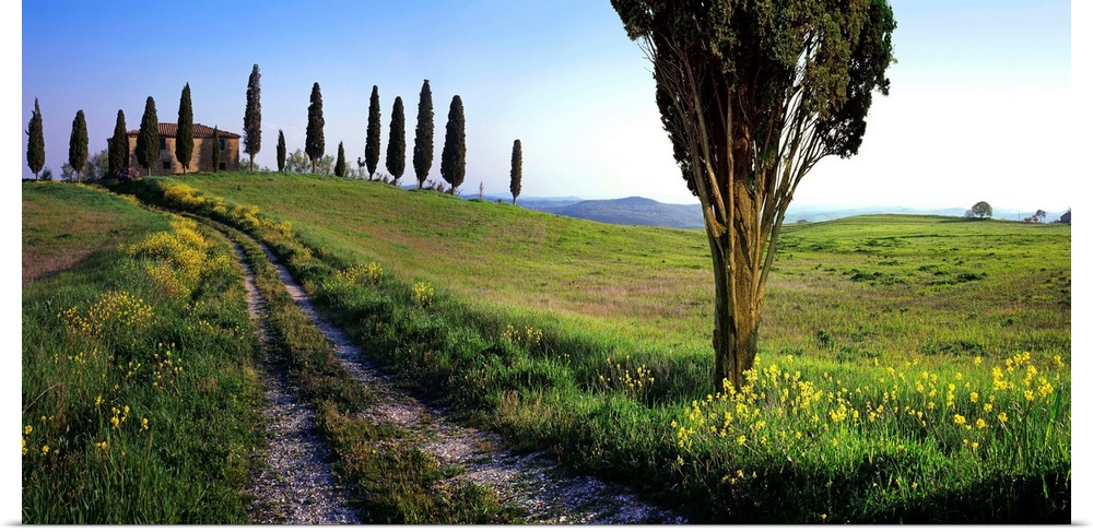 Italy, Italia, Tuscany, Toscana, Orcia Valley,Val d'Orcia, Typical landscape