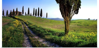 Italy, Tuscany, Orcia Valley, Typical landscape